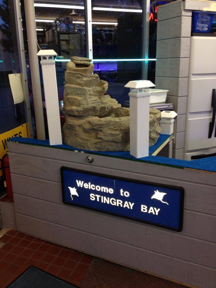 Stingray Bay Fish and Pet Supplies